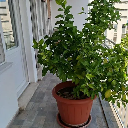 With Private Toilet And Terrace In Center In Shared Apartment Split